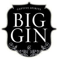 BigGin_Logo_S.jpg