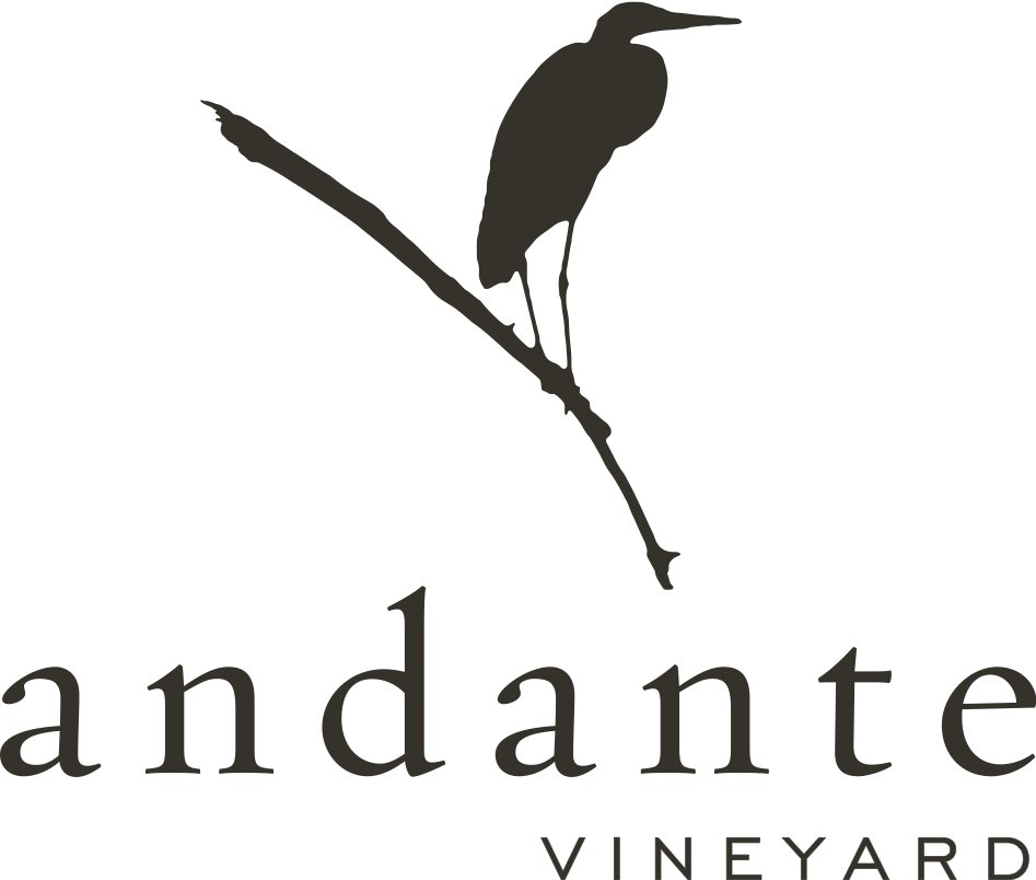 ANDANTE FULL LOGO (1) copy.jpg