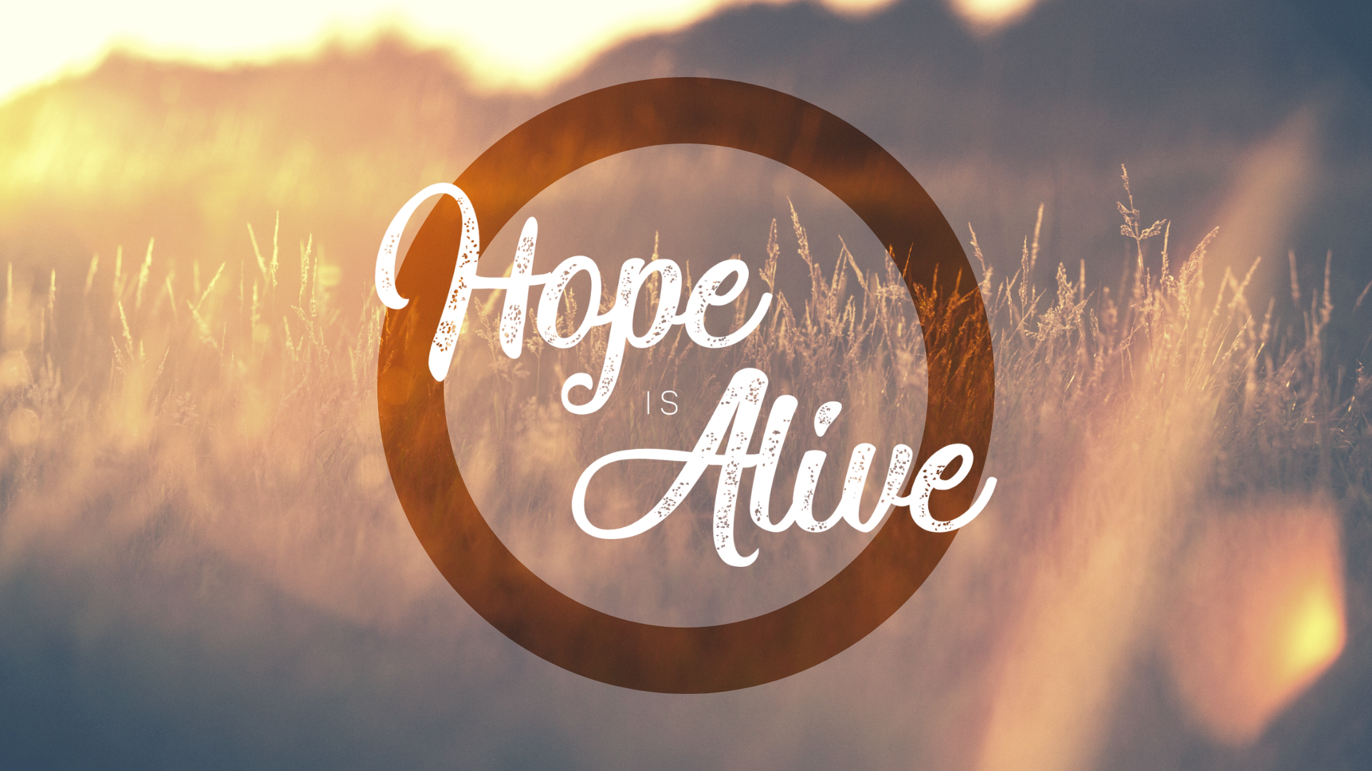 hope is alive.png