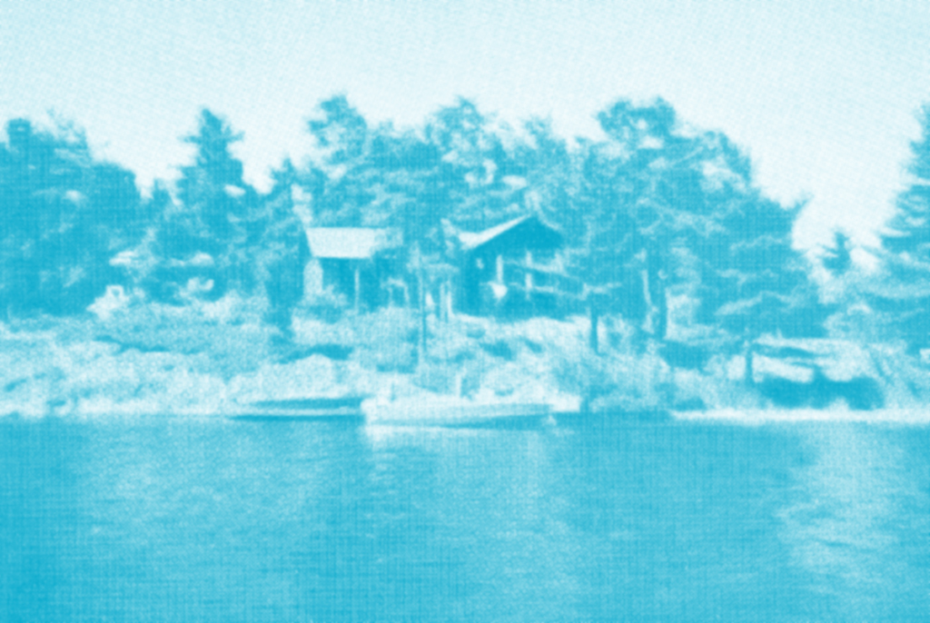 1954