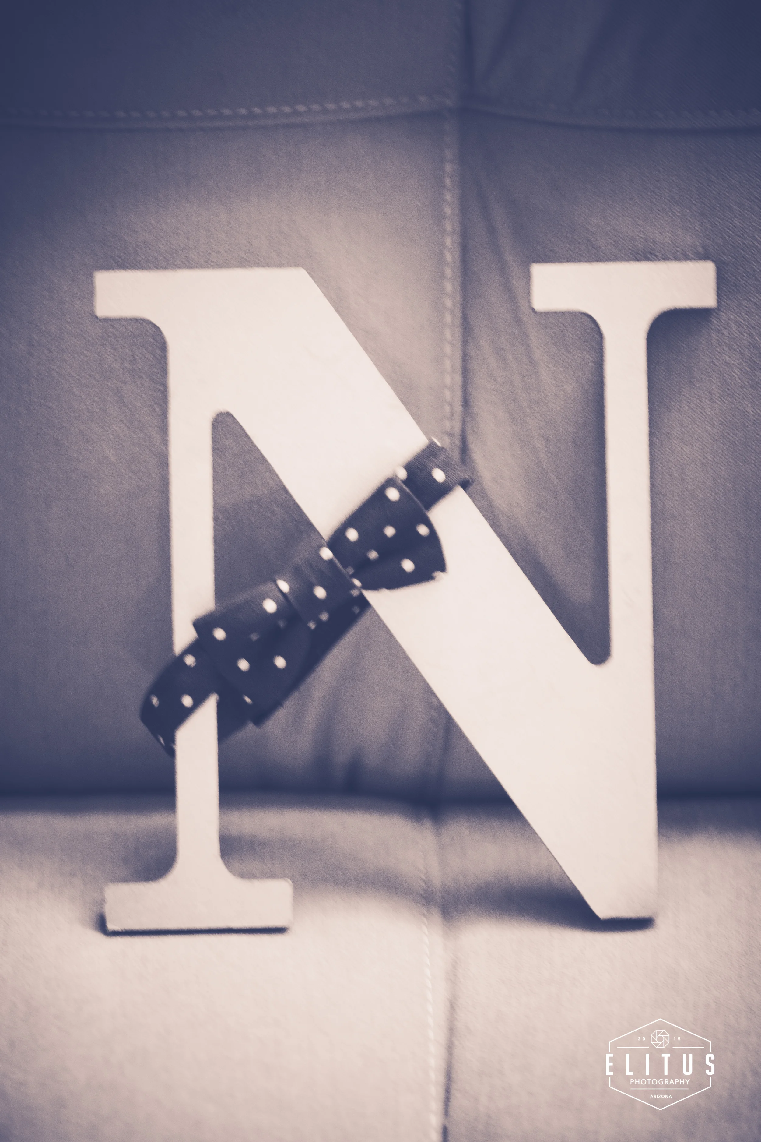 Nathaniel Ocegueda - Newborn