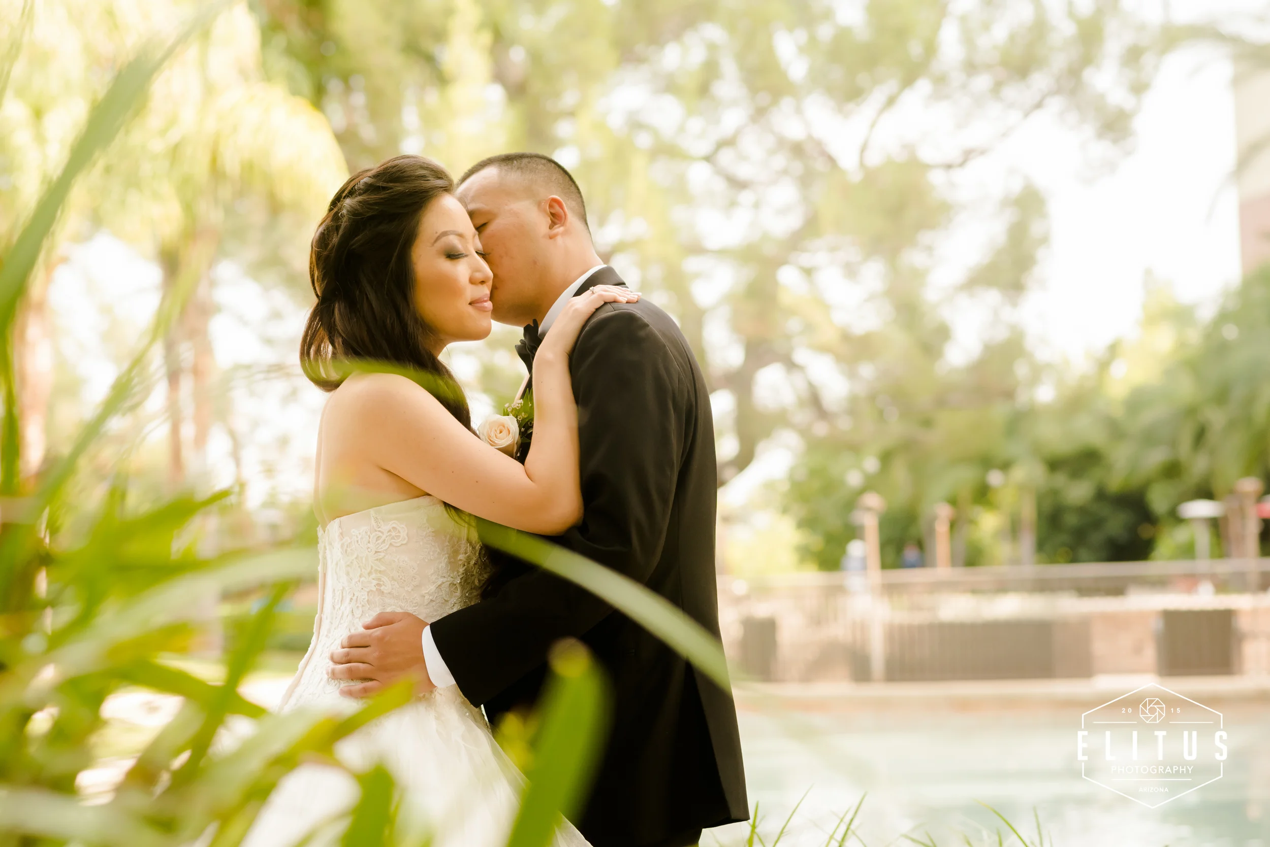 pah-elitusphotography (1 of 1)-3.jpg