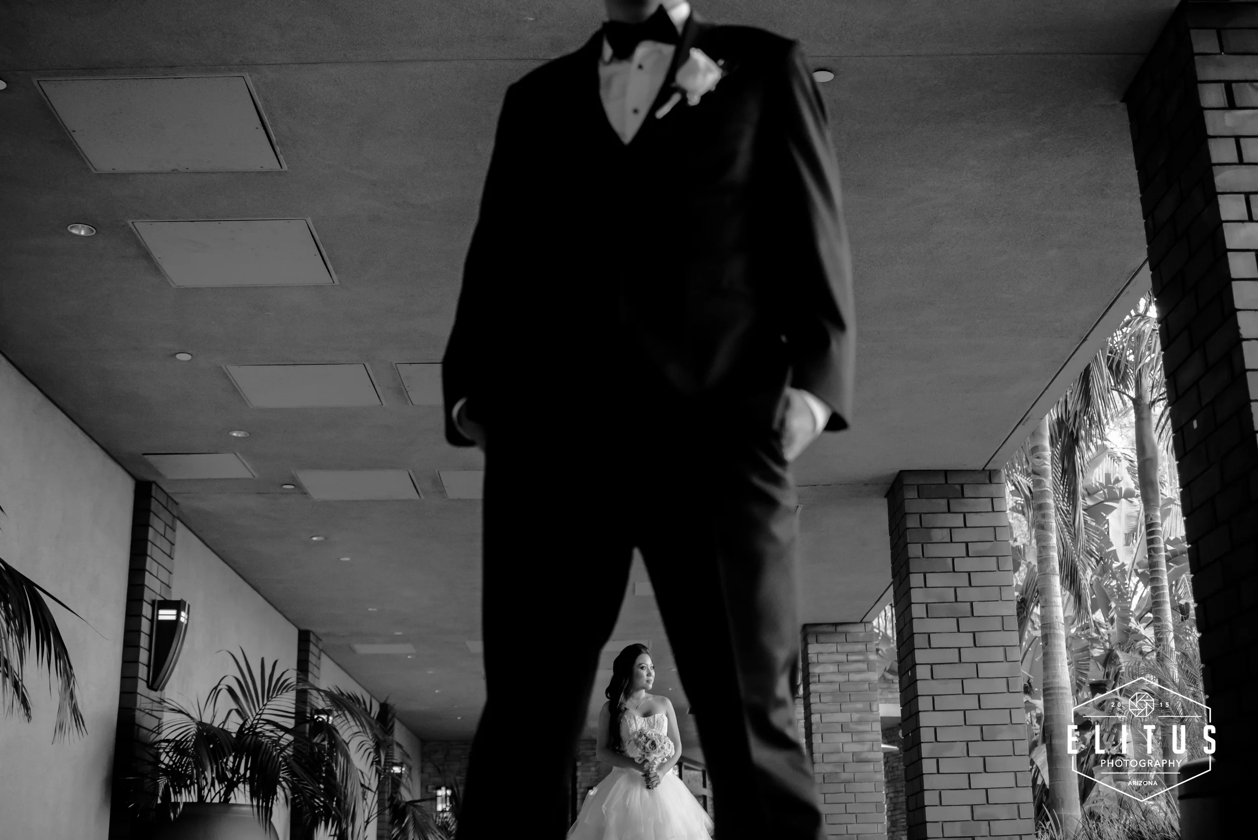 pah-elitusphotography (1 of 1).jpg