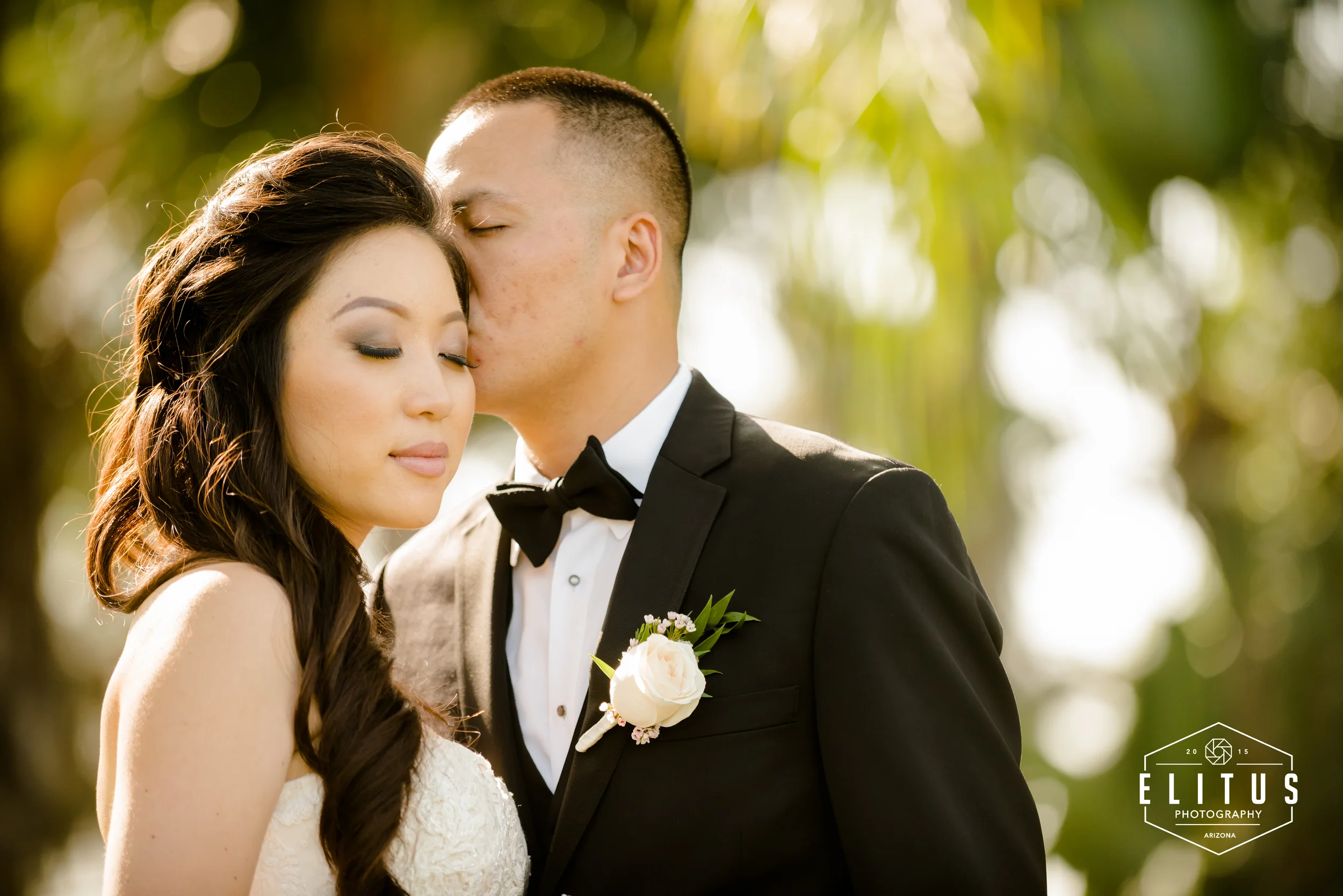 pah-elitusphotography (1 of 1)-4.jpg