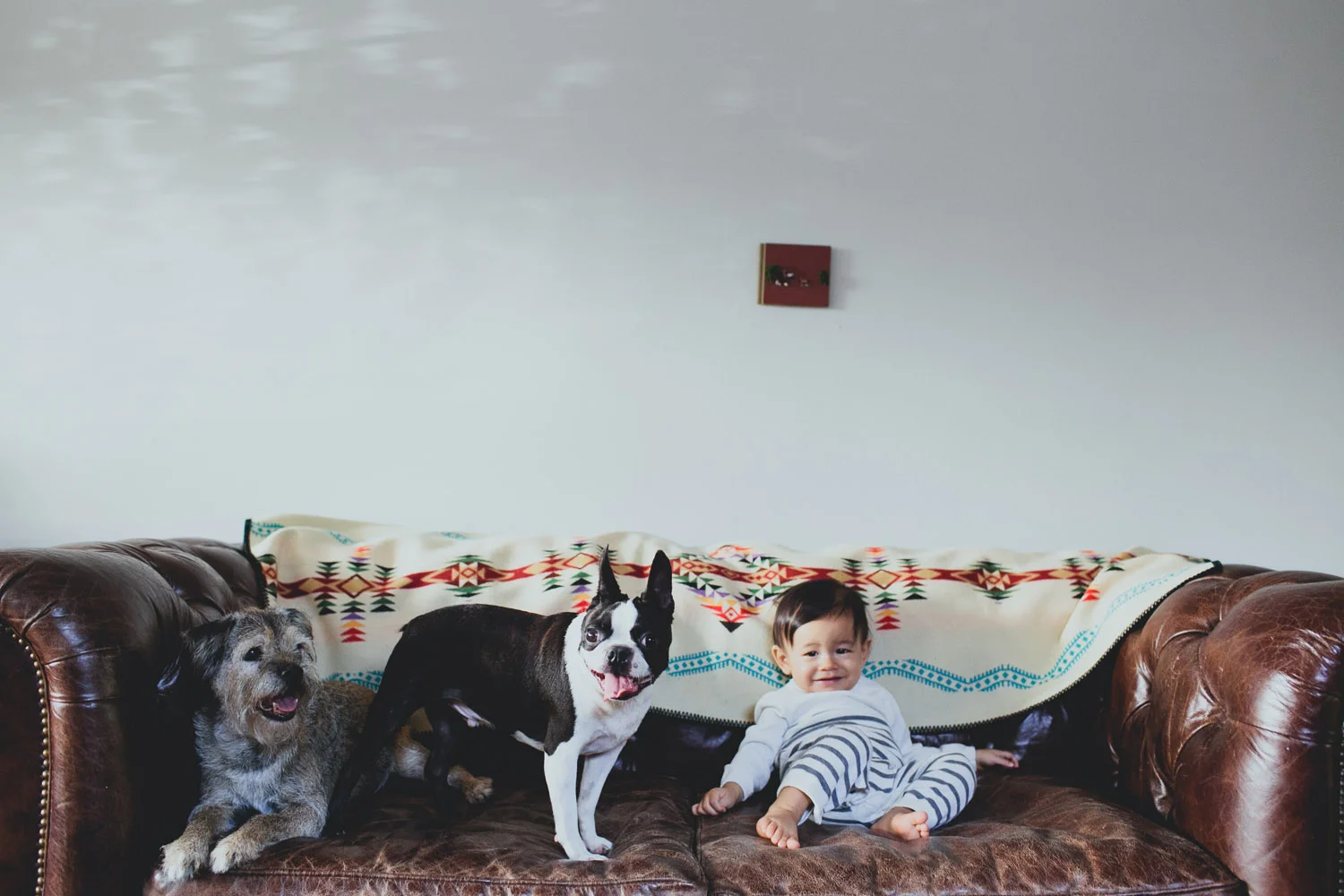 A Long Beach Lifestyle Family Session