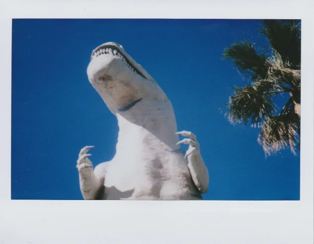 Cabazon Dinosaurs Trip on Fujifilm 210 Wide Film