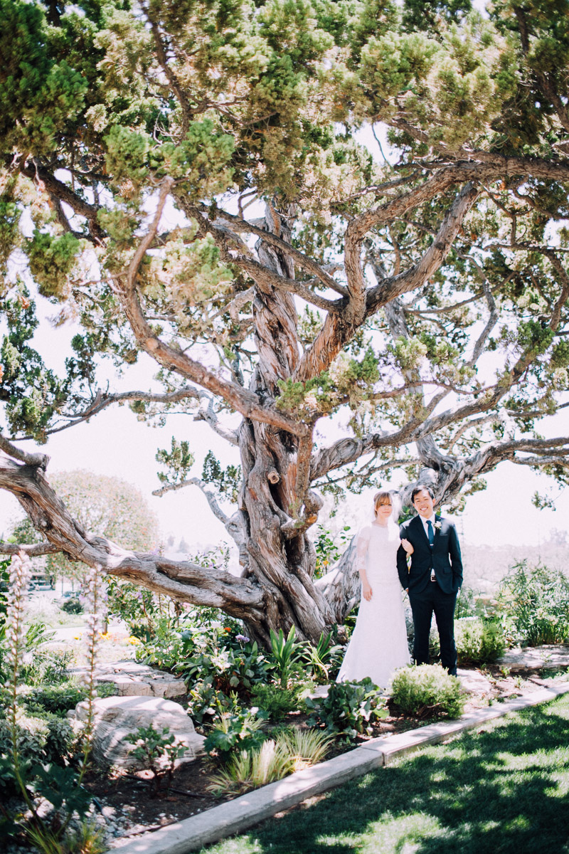 los angeles lds temple wedding-1040.jpg