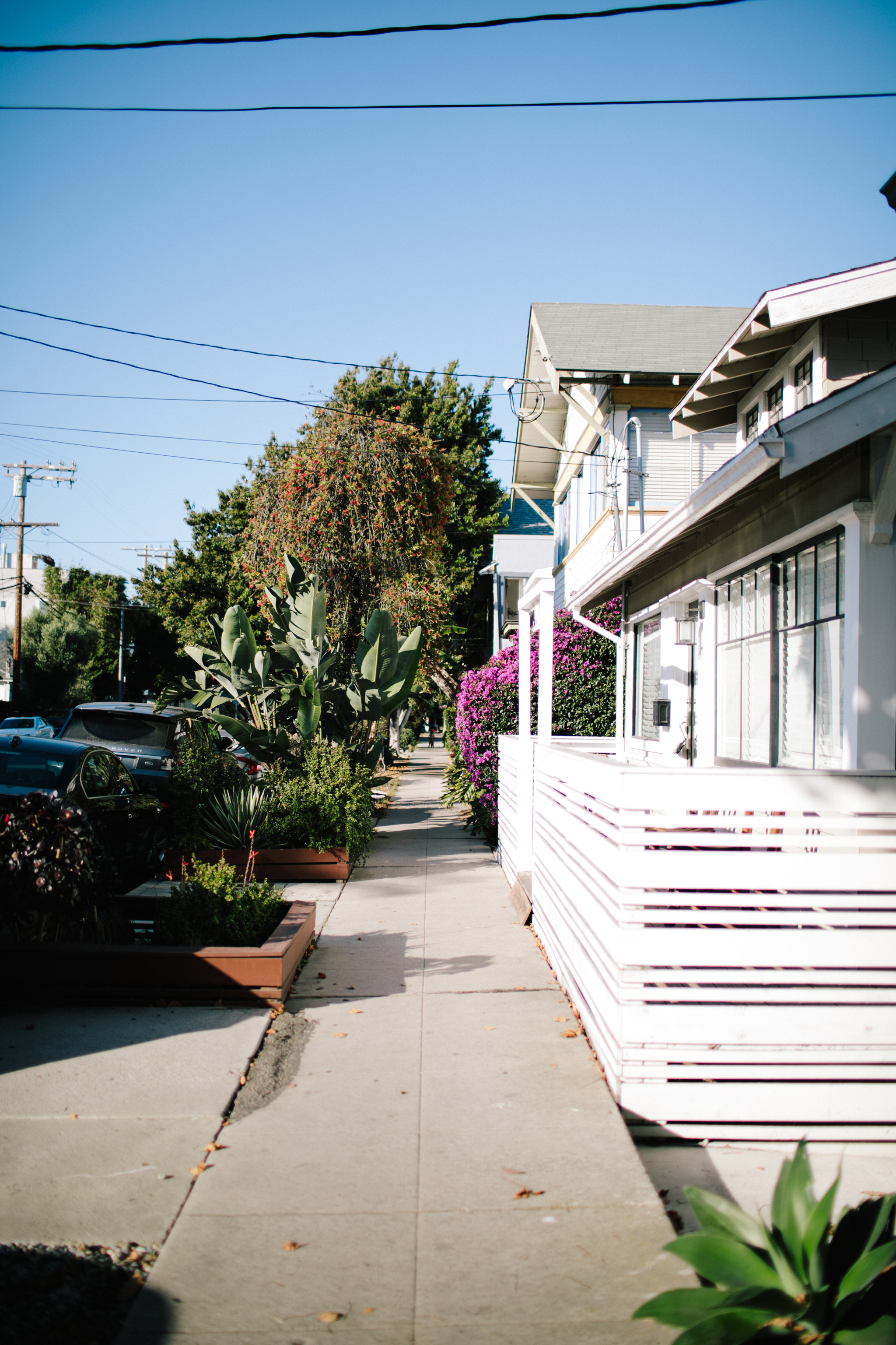 abbot kinney venice engagement-1000.jpg