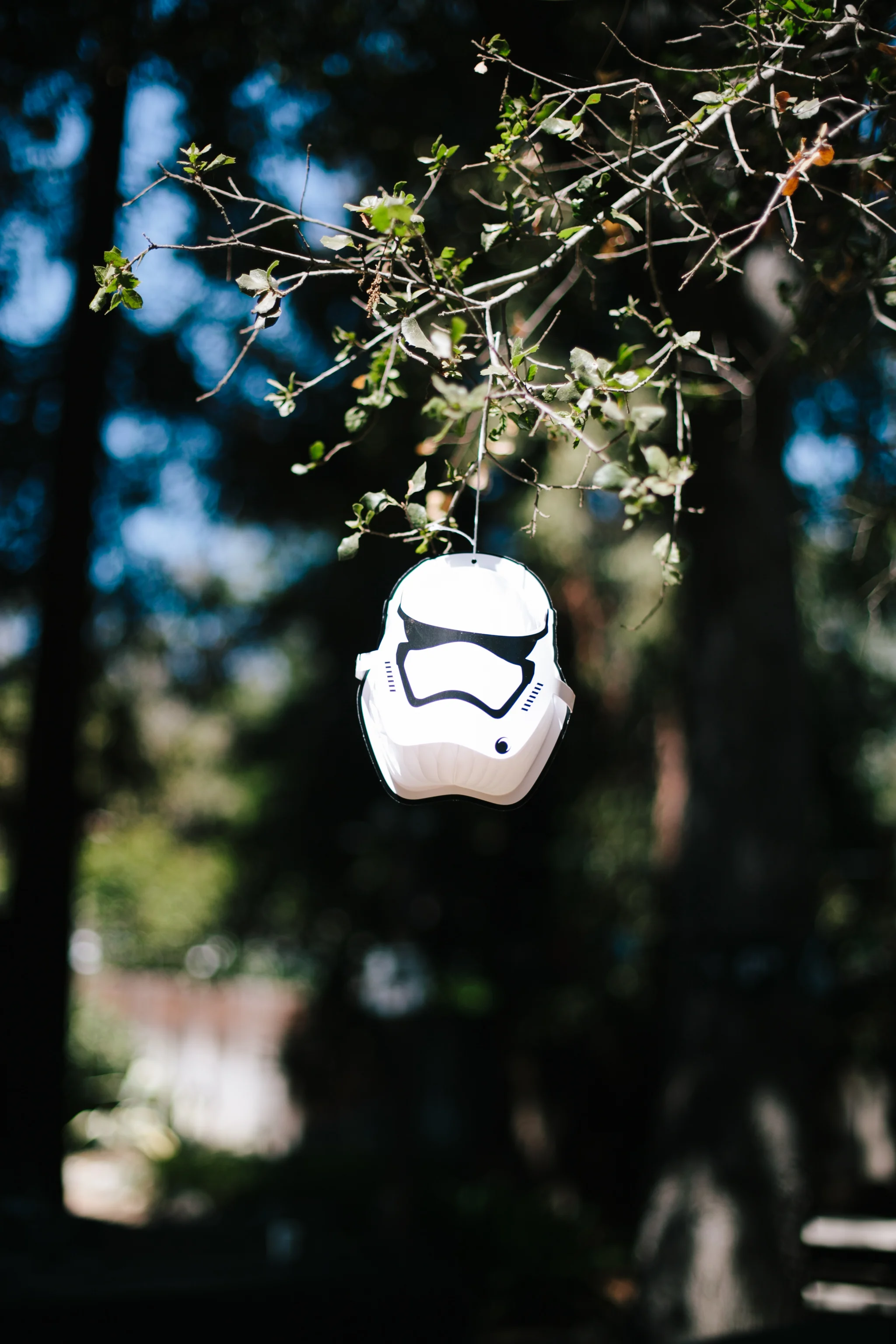 star wars birthday party-9055.jpg