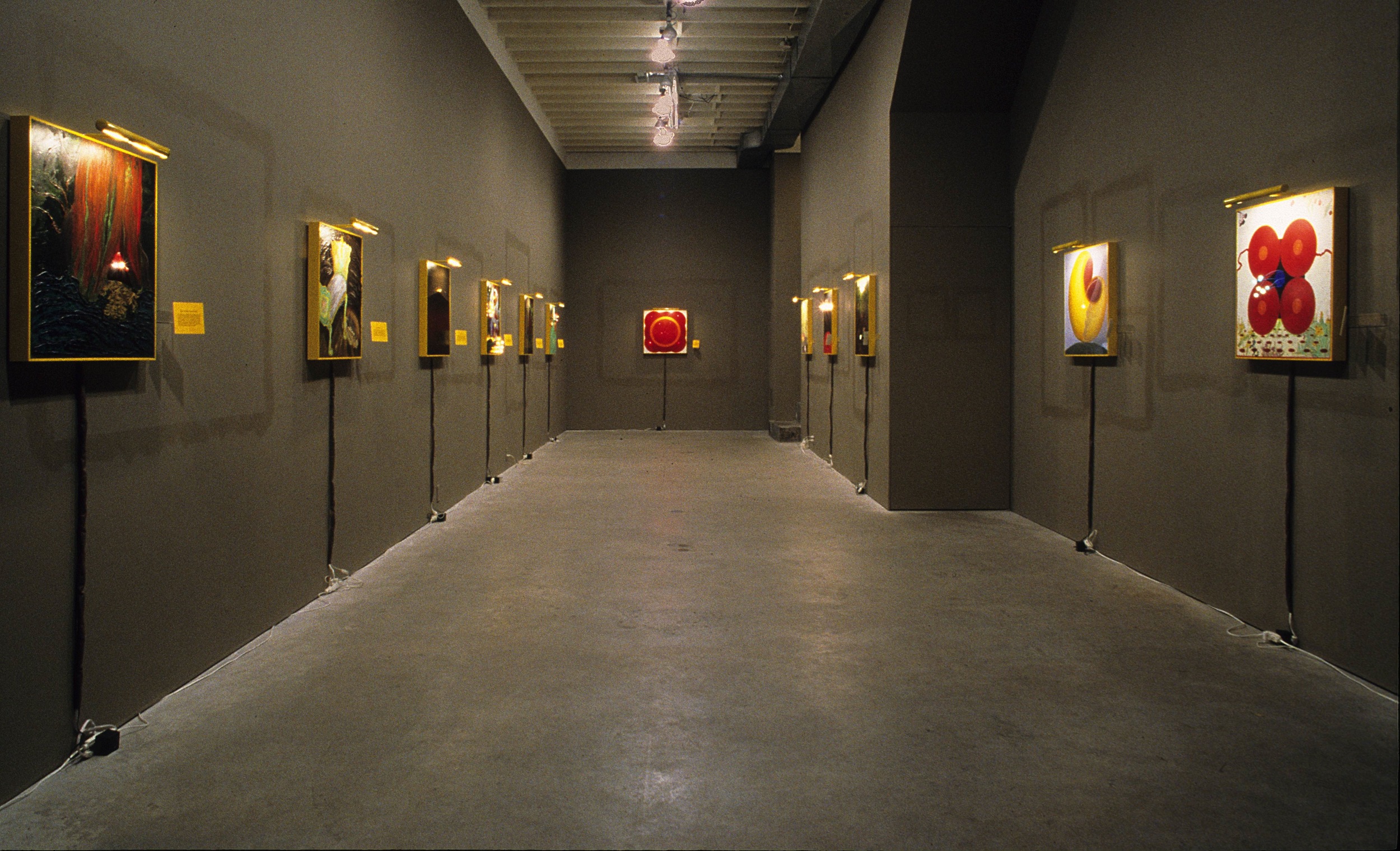 The Newborn (installation view)