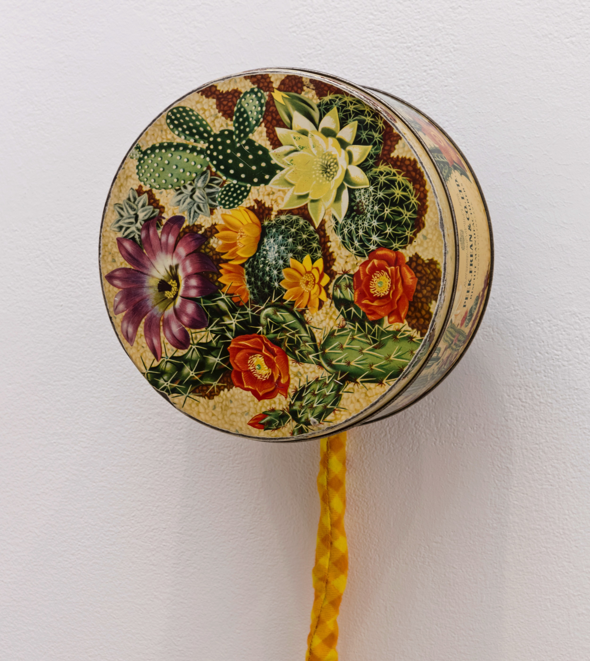Desert Flowers
