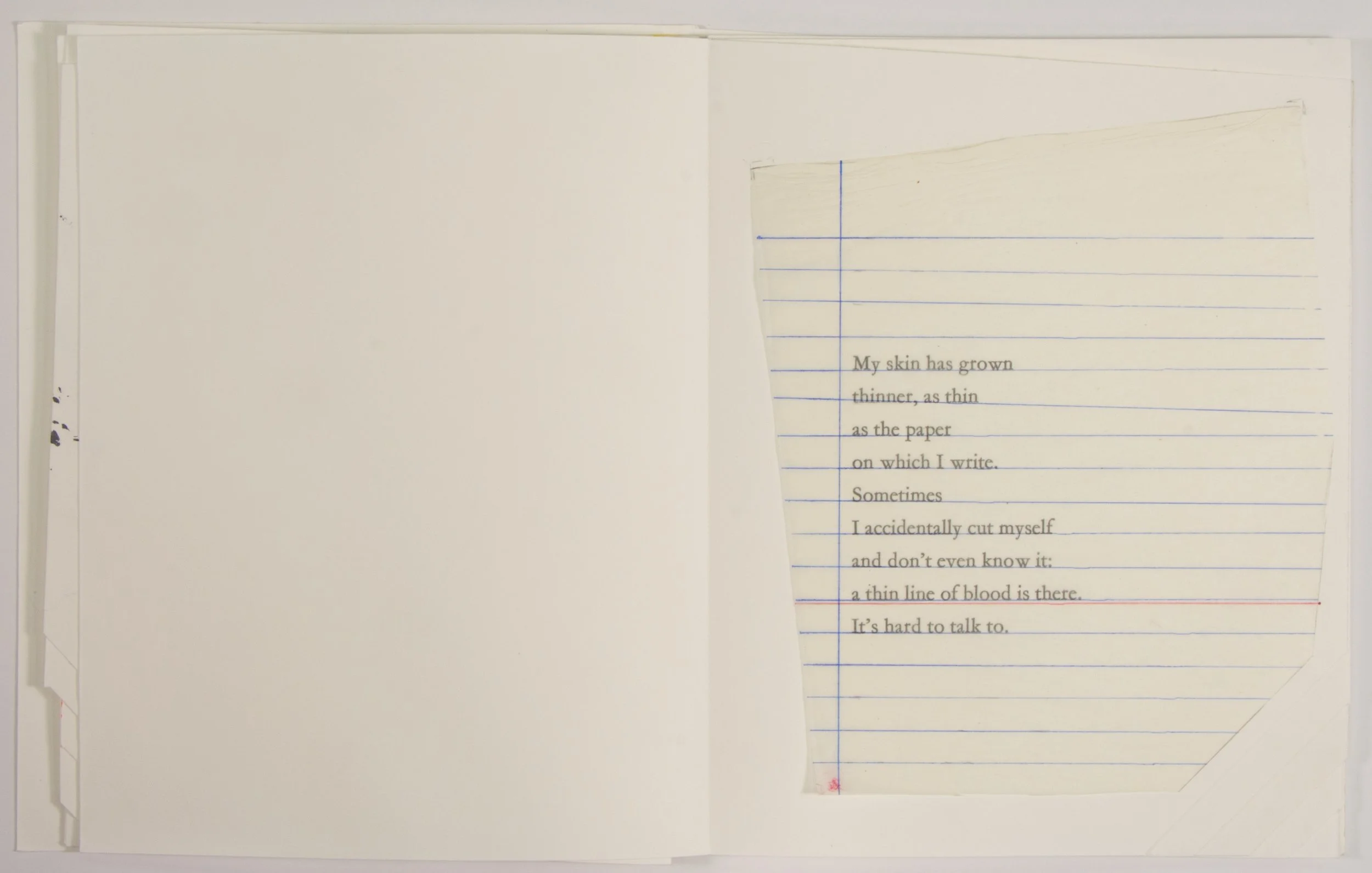 Cabin in the Woods 08book WEB.jpg