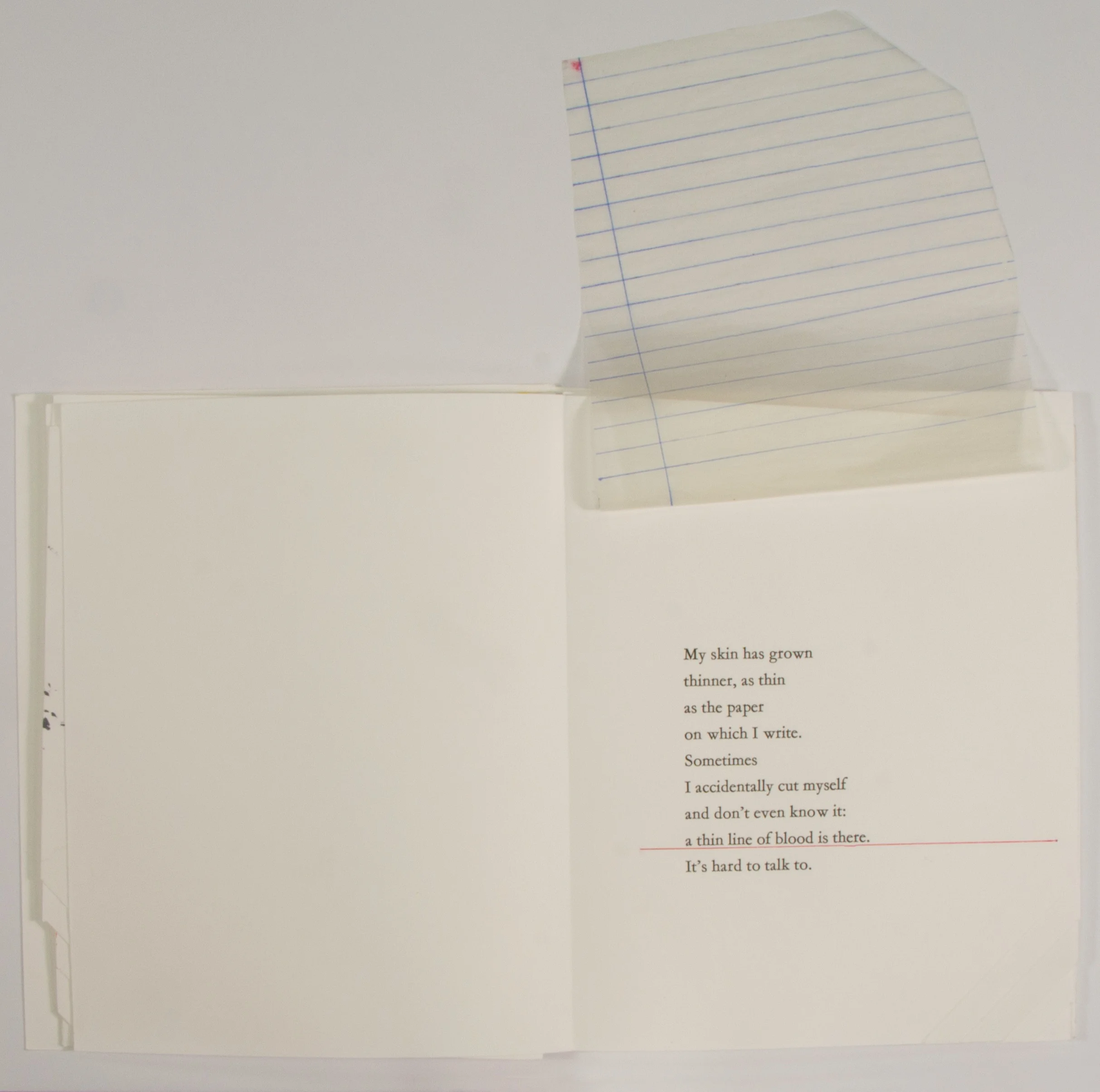 Cabin in the Woods 10book WEB.jpg