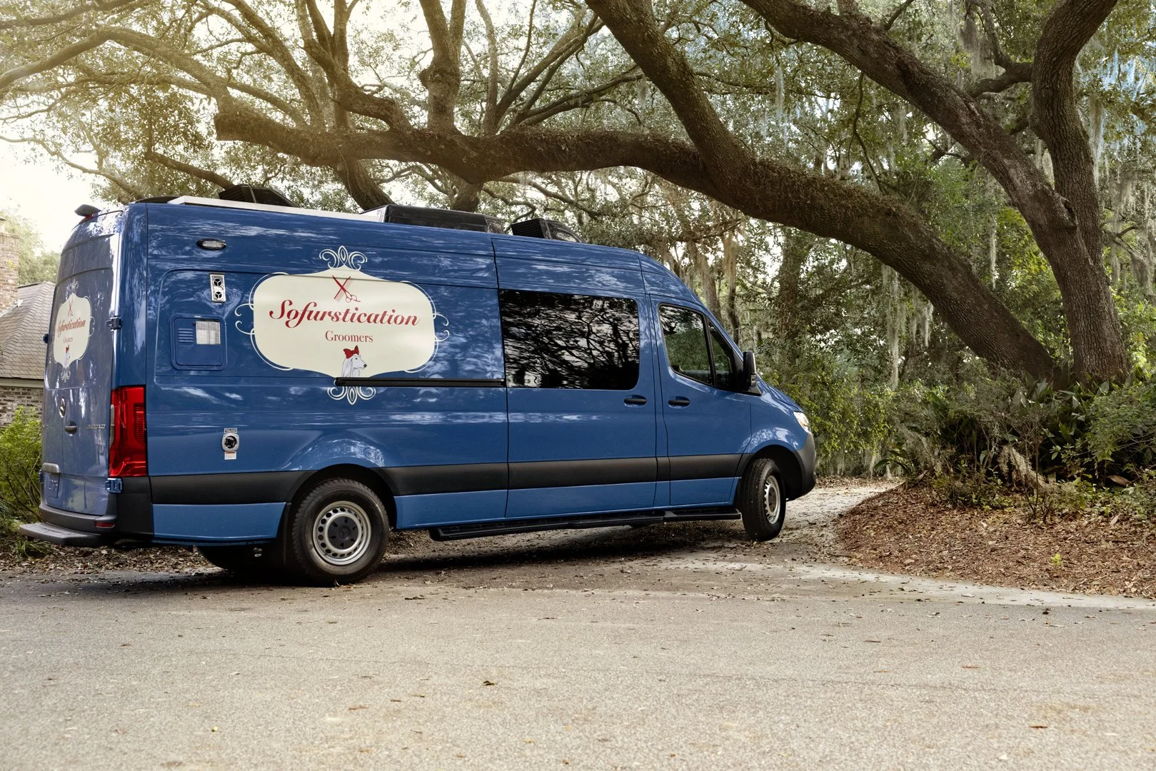MB_VANS_2072_Shot01_Dog_Exterior_Pickups_R_300_V2.jpg