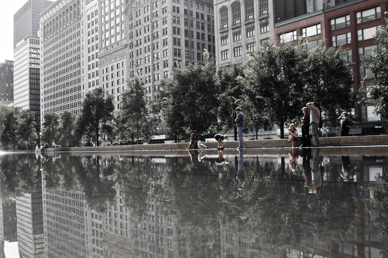Millennium Reflection