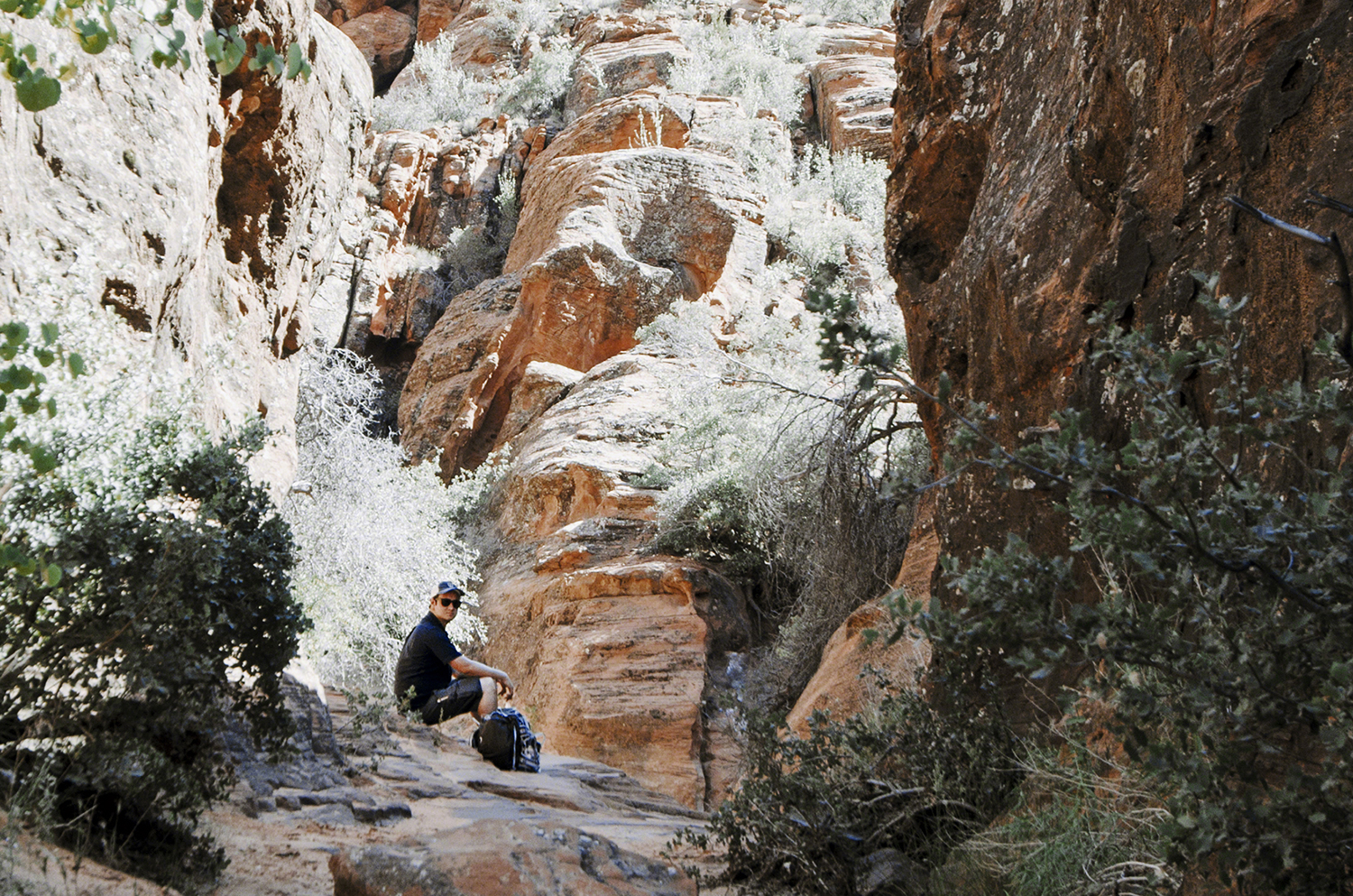 Finding relief in the shade | Snow Canyon