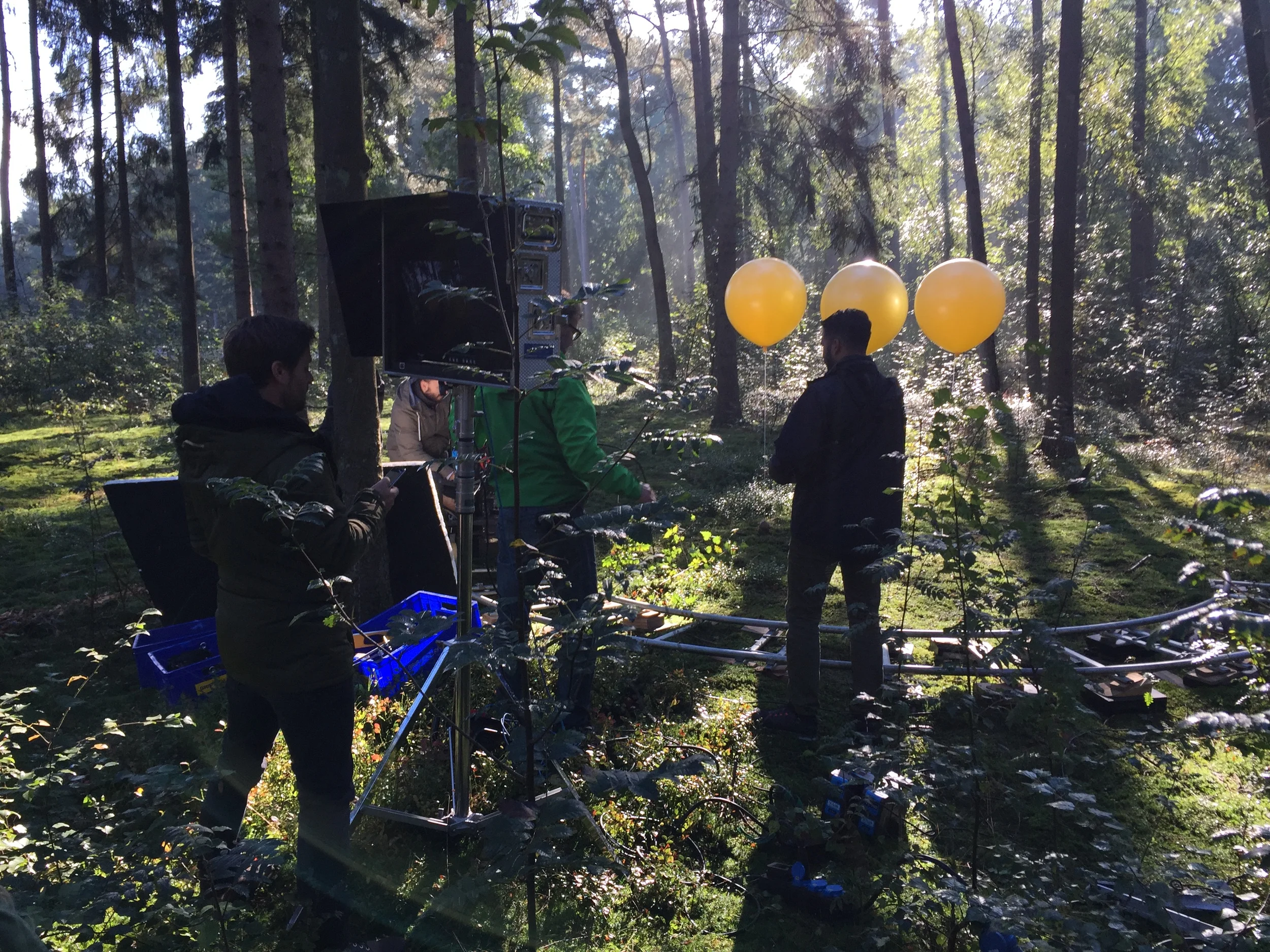 Getting ready for morning sun light