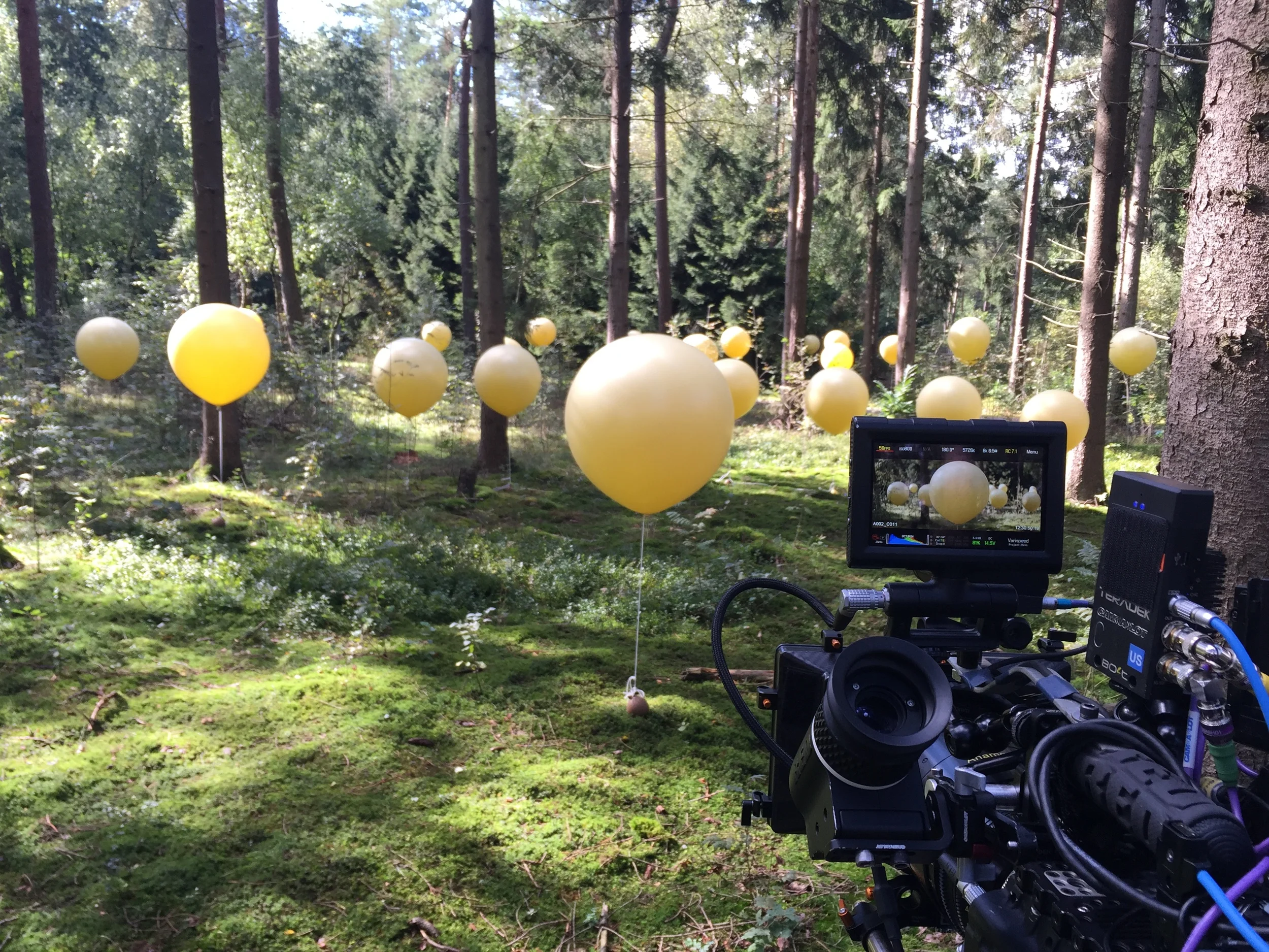Shooting with Cooke Anamorphic lenses