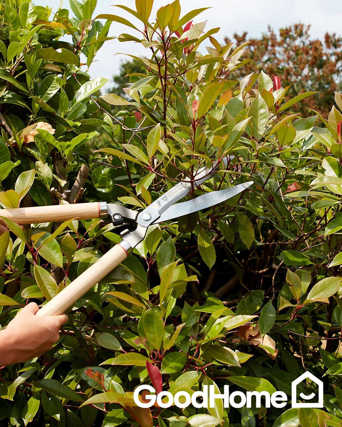 Kingfisher GoodHome simple modern wood handle garden tools