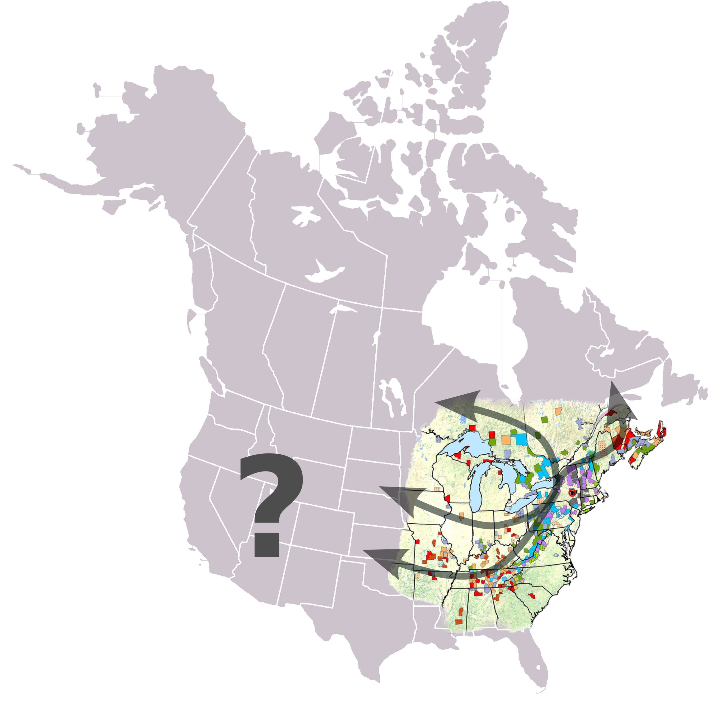 White-nose Syndrome Research 
