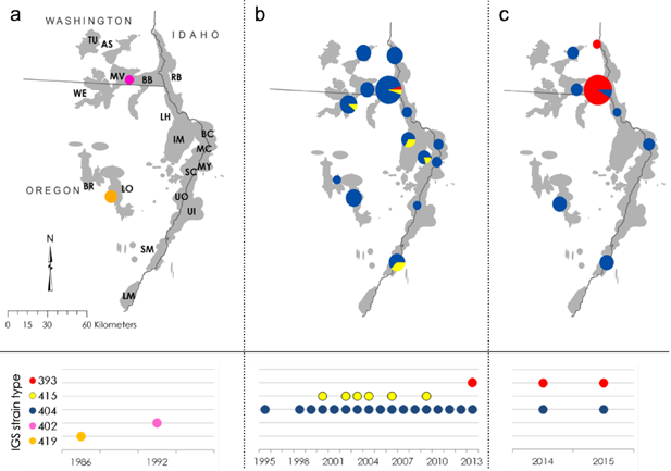 A new paper from our bighorn sheep team, lead by Frances Cassirer, published today.