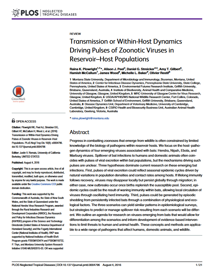 New Publication