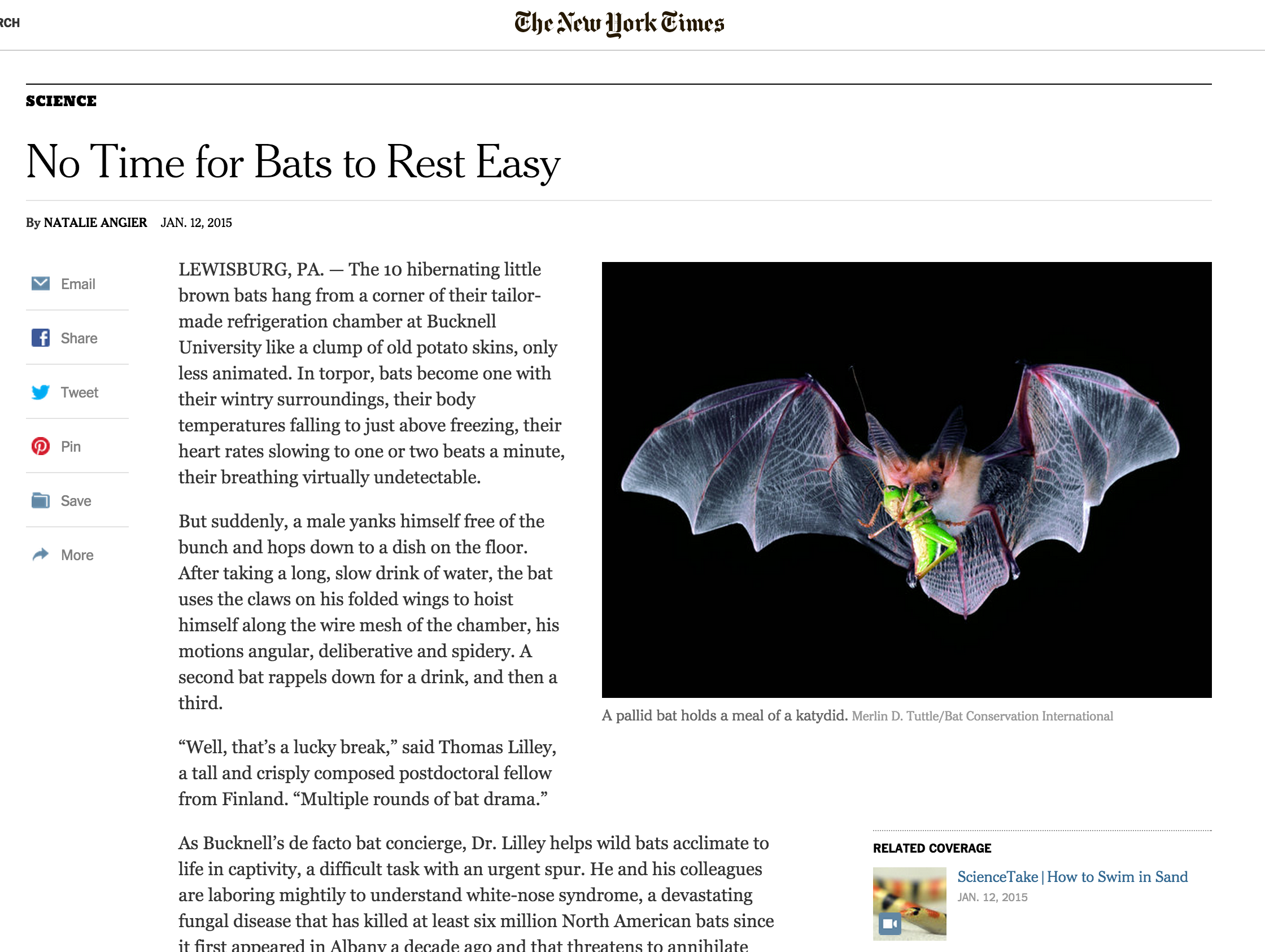 New York Times