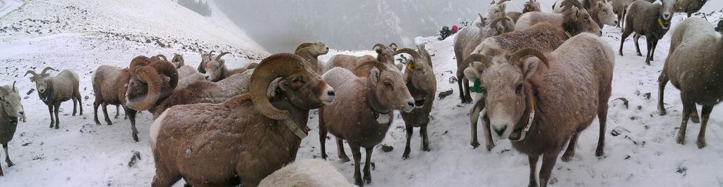 Sampling doesn't stop in the winter