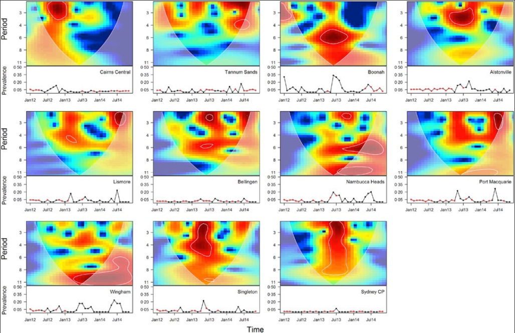 New Publication by David Paez