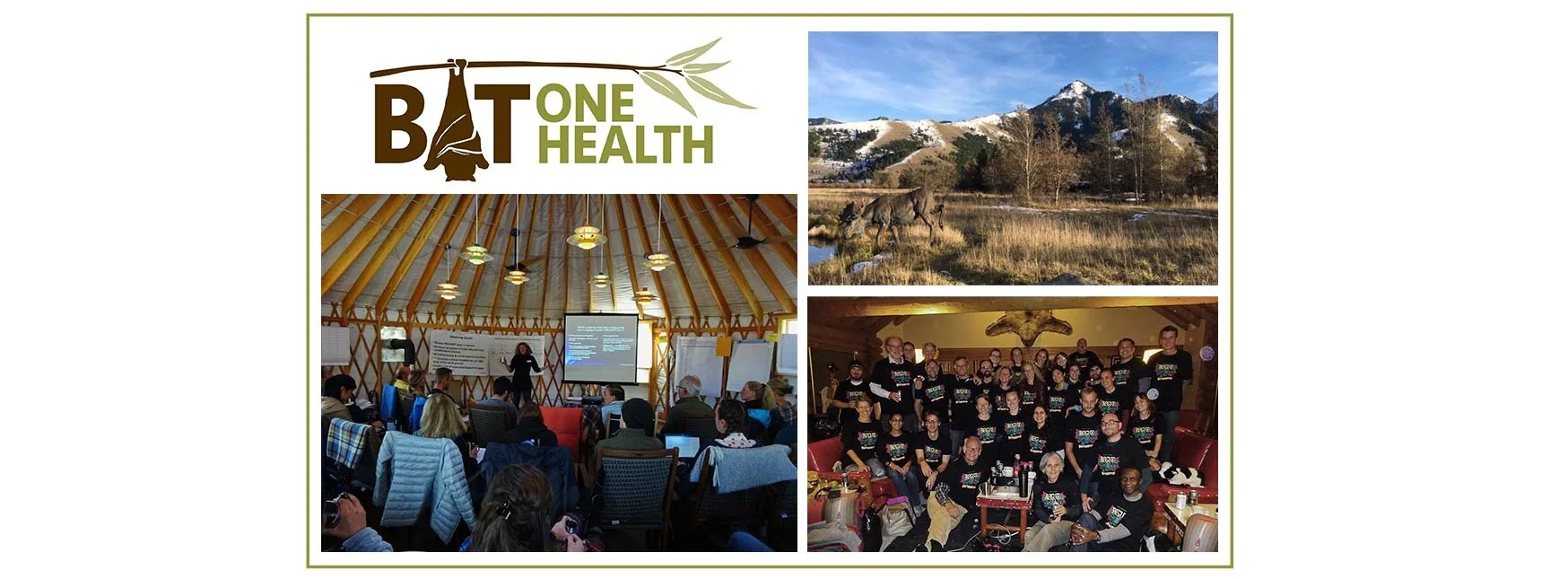Bat1Health research team gathers for annual meeting