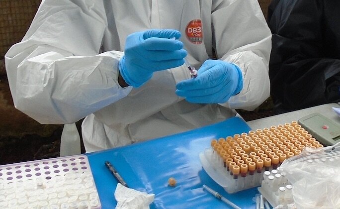 Dr. Plowright interviewed on NPR: Virus researchers cast doubt on theory of coronavirus lab accident
