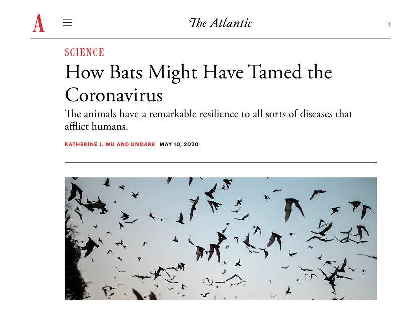 Graduate student Daniel Crowely and PI Raina Plowright, quoted on bat immunology