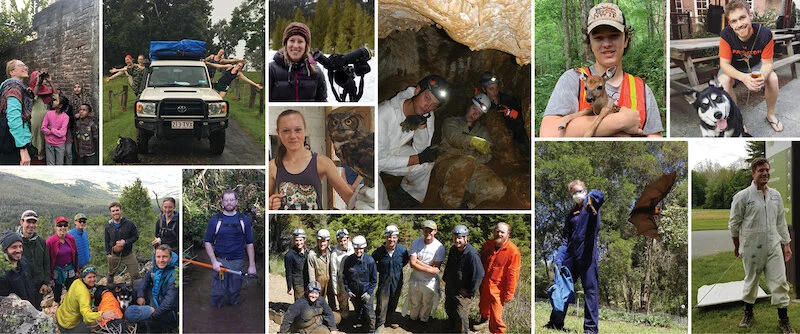 Plowright Lab works on COVID-19 in Montana