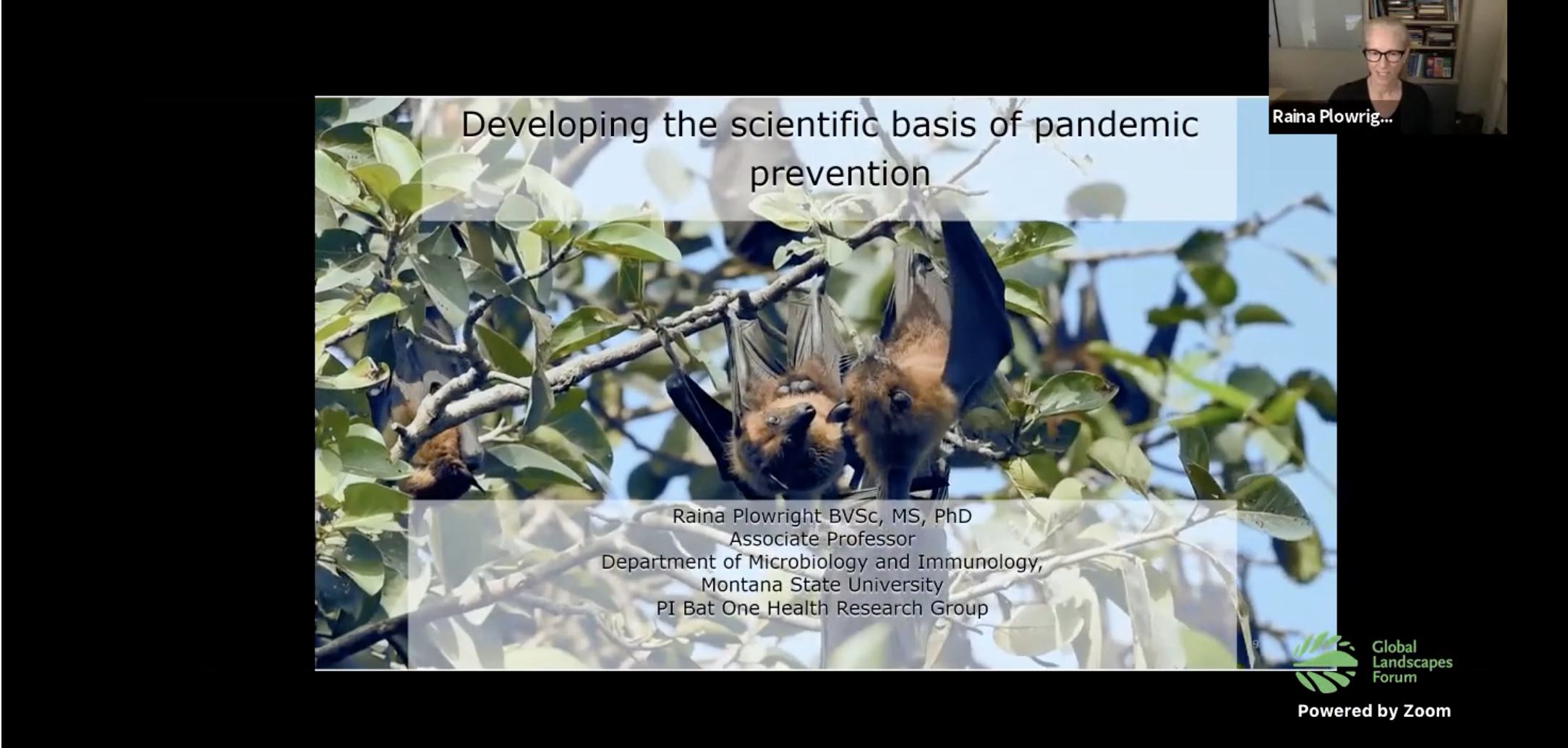 Dr Plowright and Undergraduate student Brooklin Hunt Speak at Global Landscapes Forum
