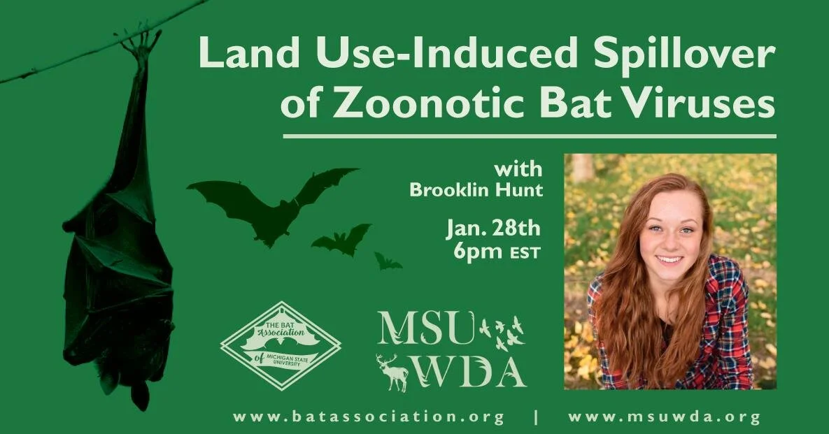 Undergraduate student Brooklin Hunt will give a talk at Michigan State University