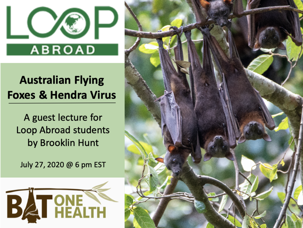 Brooklin Hunt Presents a Guest Lecture at Loop Abroad