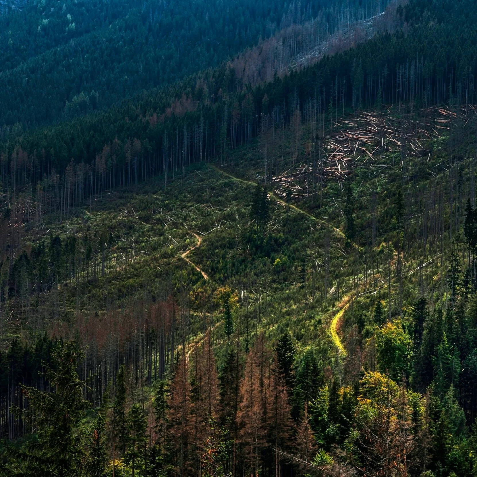 Two Publications Highlighted in the Media!