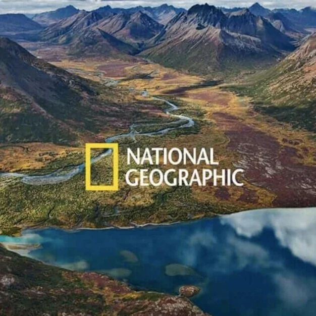 BatOneHealth PI's quoted in National Geographic article