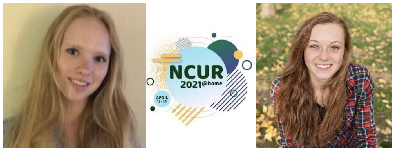 Undergraduates Dale Hansen and Brooklin Hunt presented at NCUR 2021.