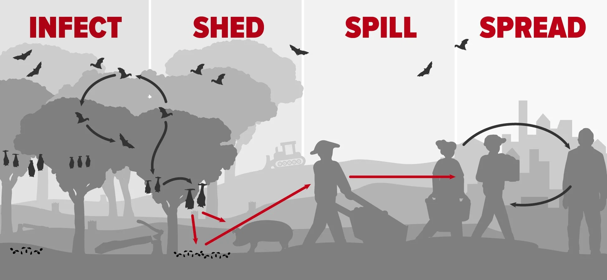 Series of Papers Published on Land Use-Induced Spillover