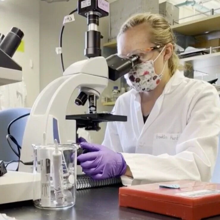 Dr. Plowright Interviewed for Bozeman Daily Chronicle 