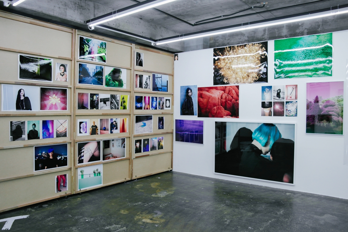 snakepool_exhibition_3.jpg