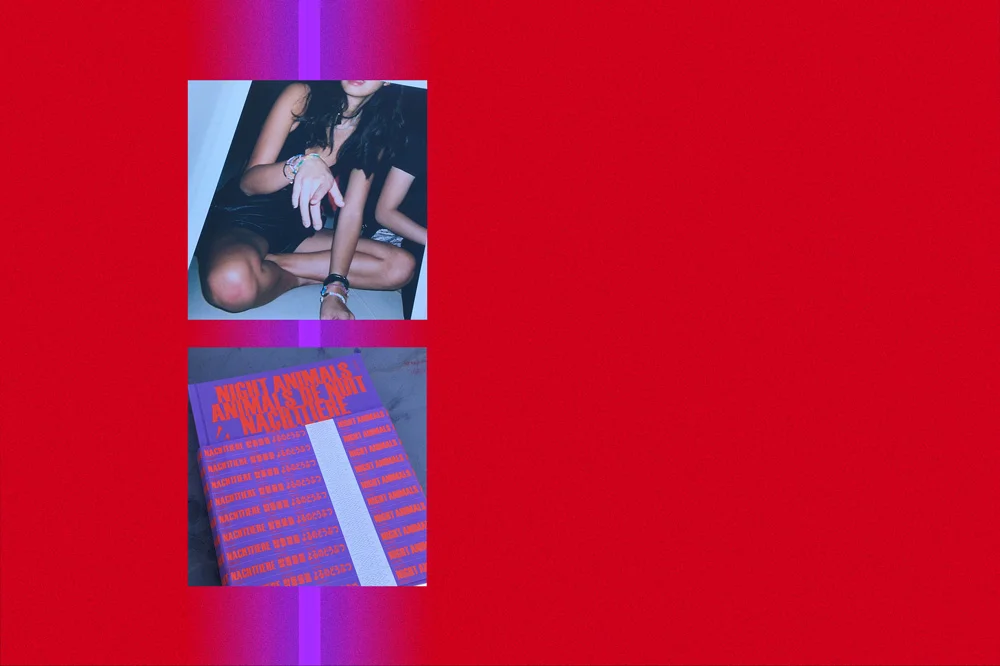 Night Animals by HANSY