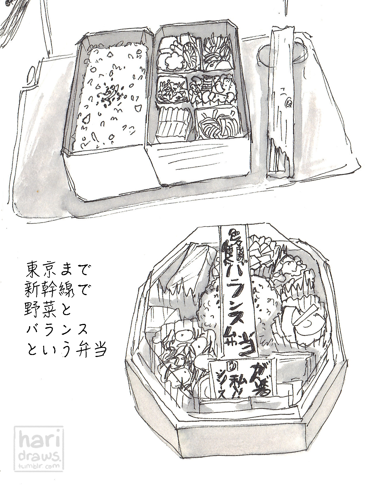 Japan- Shinkansen-bento.jpg