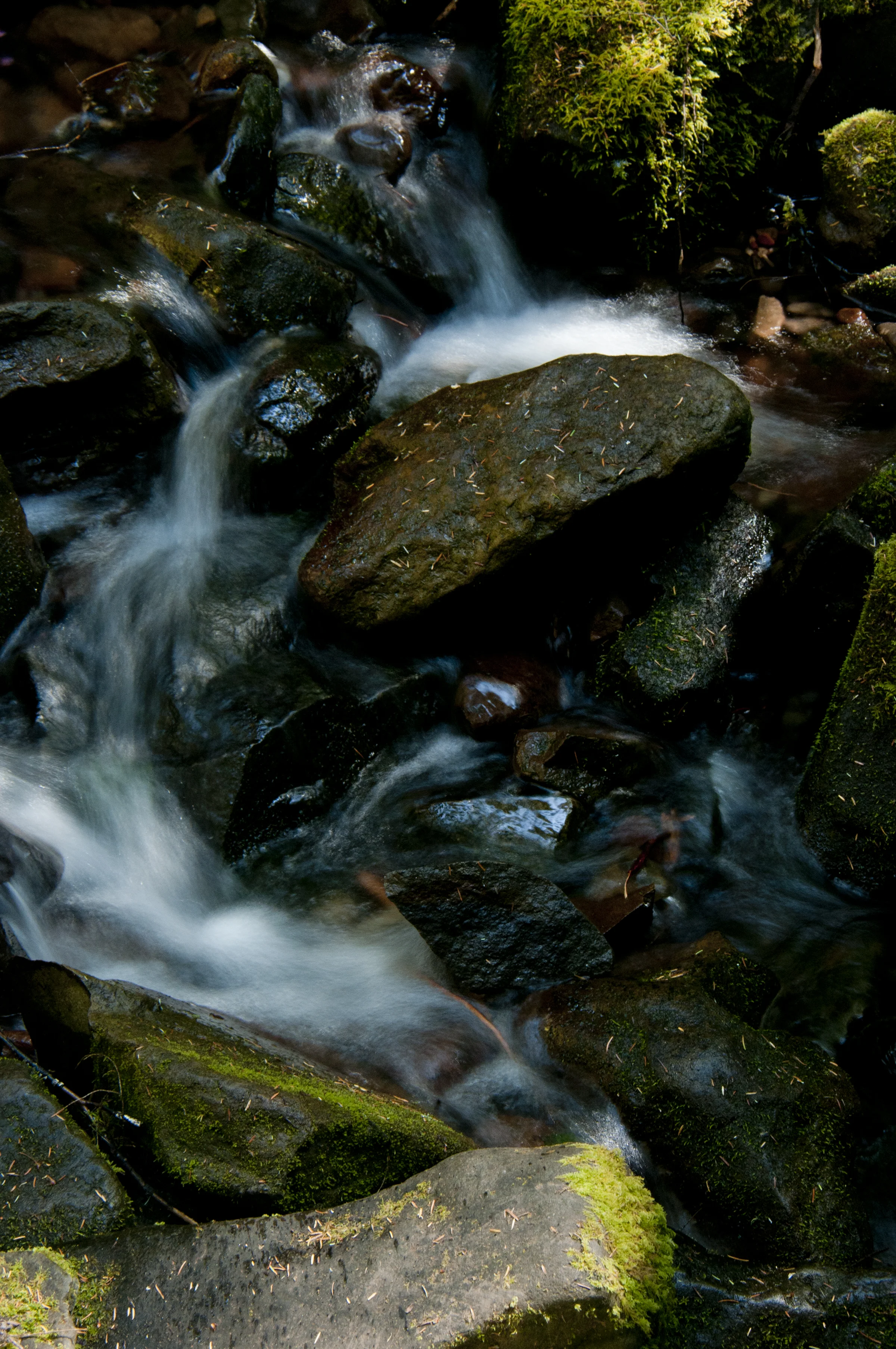 _DSC9249.jpg