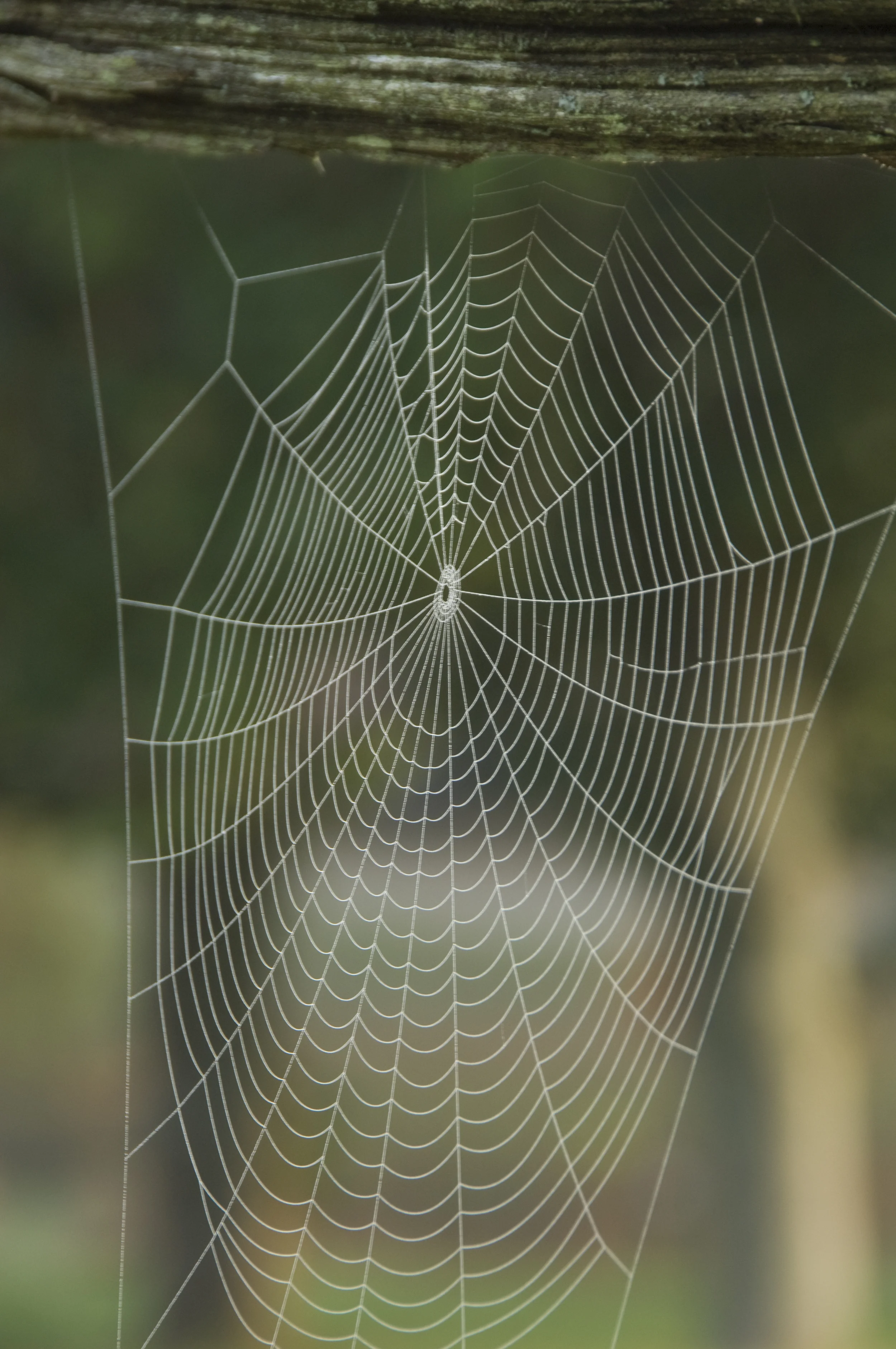 _DSC0114.jpg