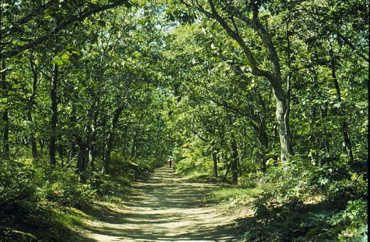 Massachusetts Countryside Picture via Pixabay.com