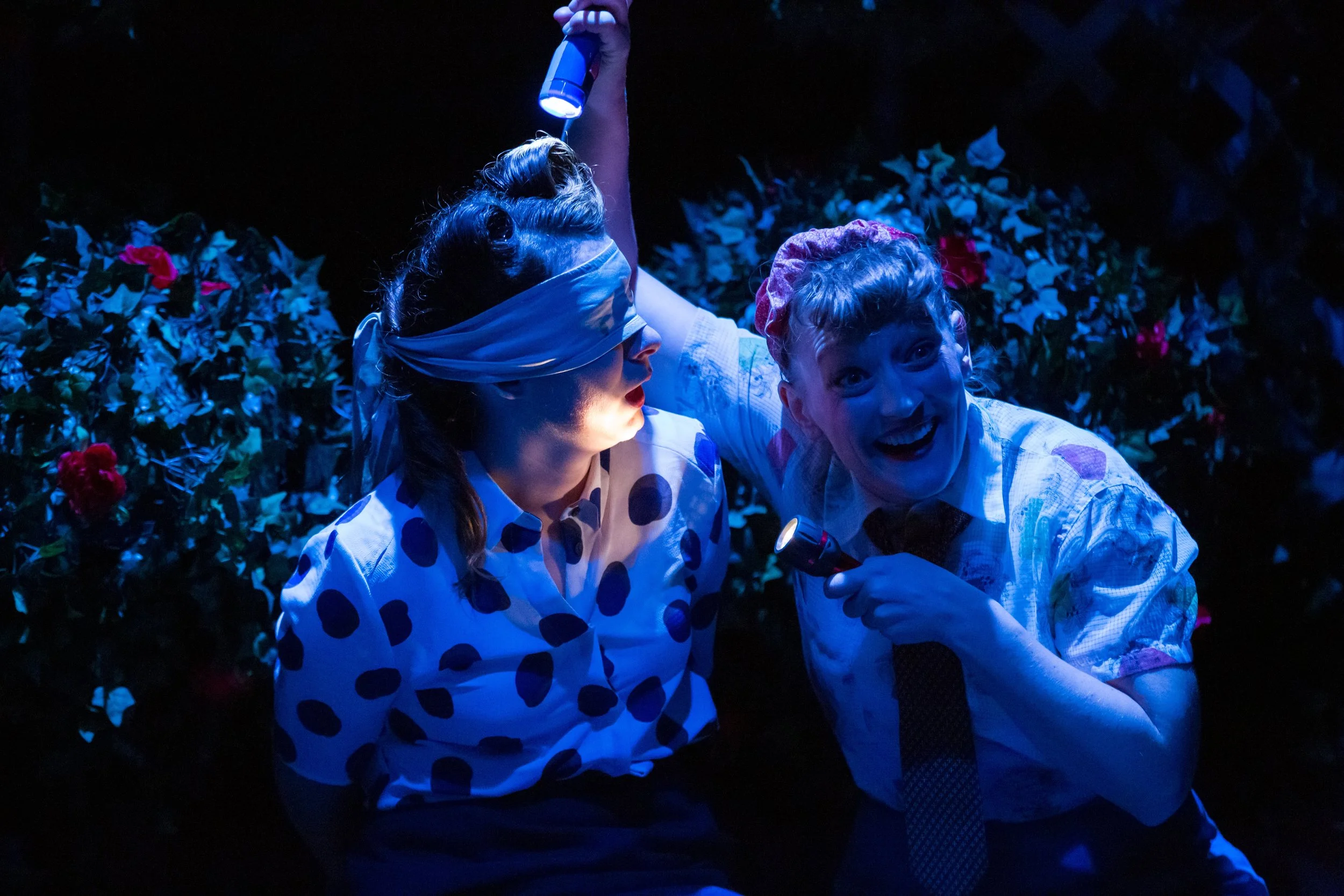 Twelfth_Night_Production-576 Banner.jpg