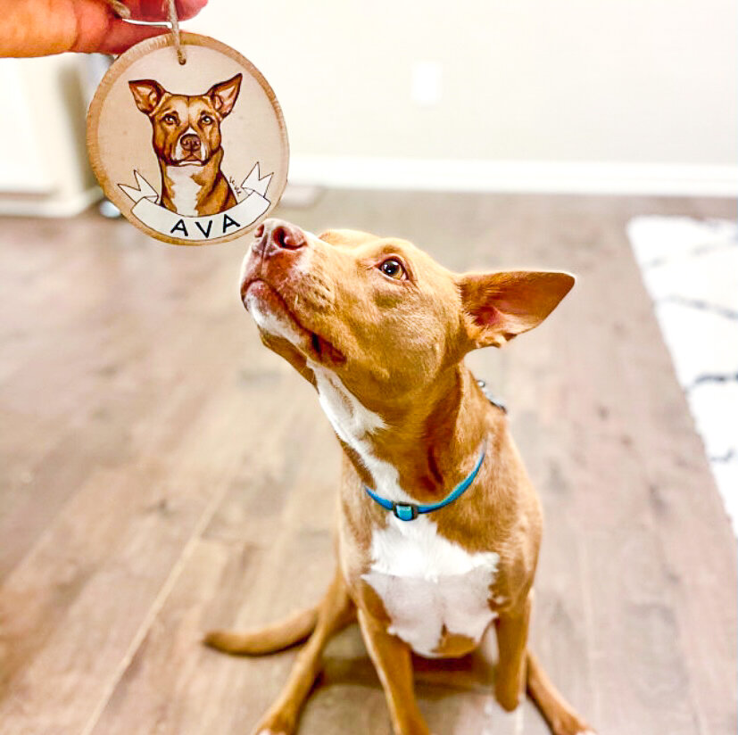 Proud Pets And Their Portraits - Part II