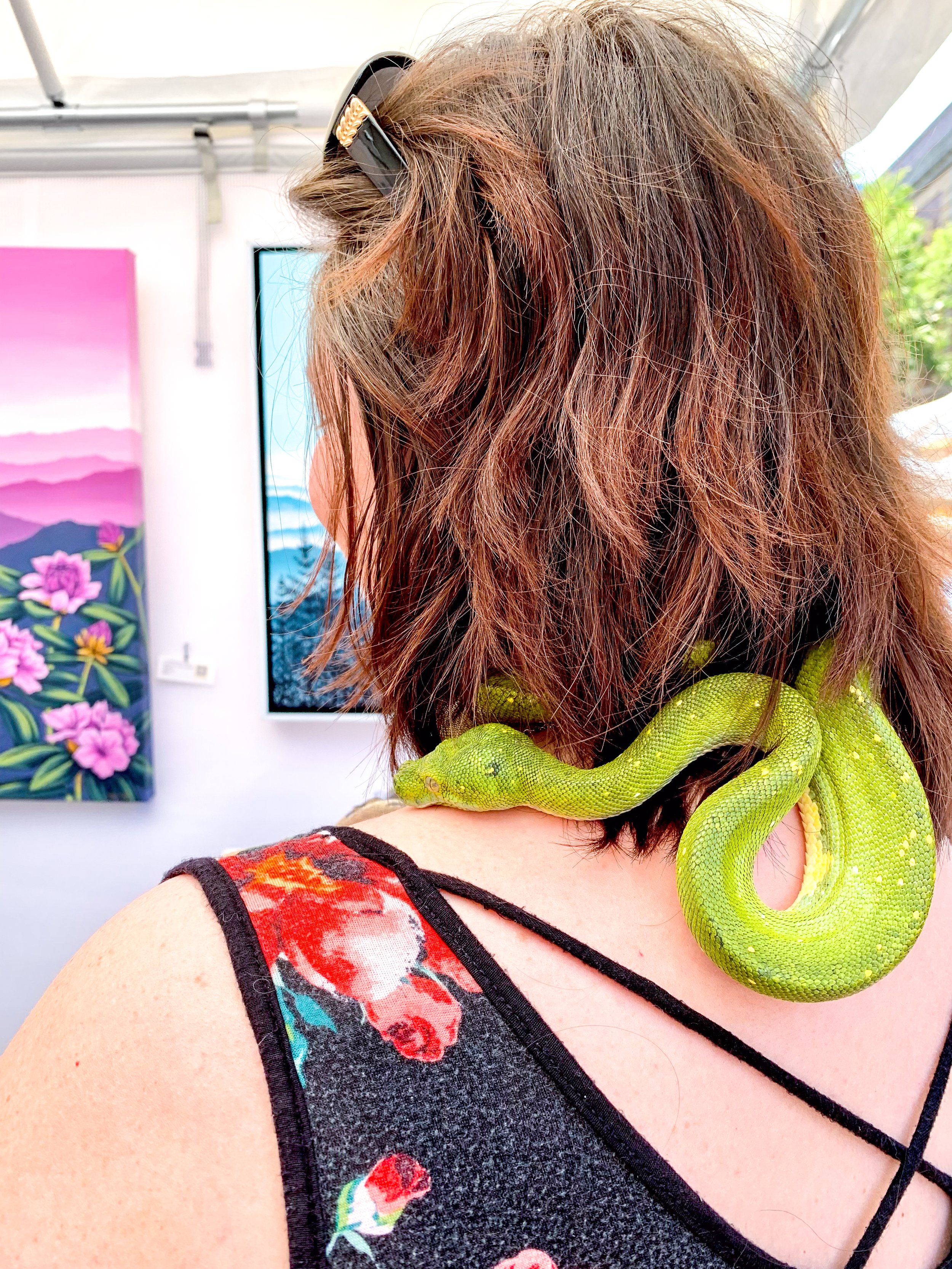 A little Emerald Tree Boa joins in on the fun